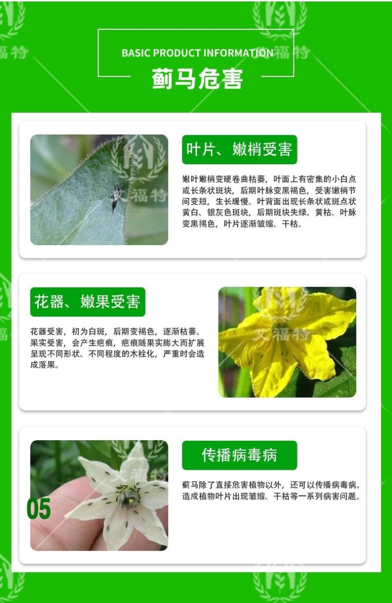 蓟马专用药茄子辣椒瓜果蔬菜黑蓟马花蓟马等