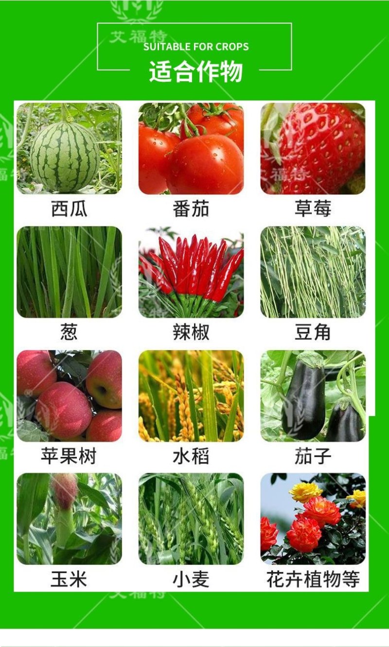 蓟马专用药茄子辣椒瓜果蔬菜黑蓟马花蓟马等