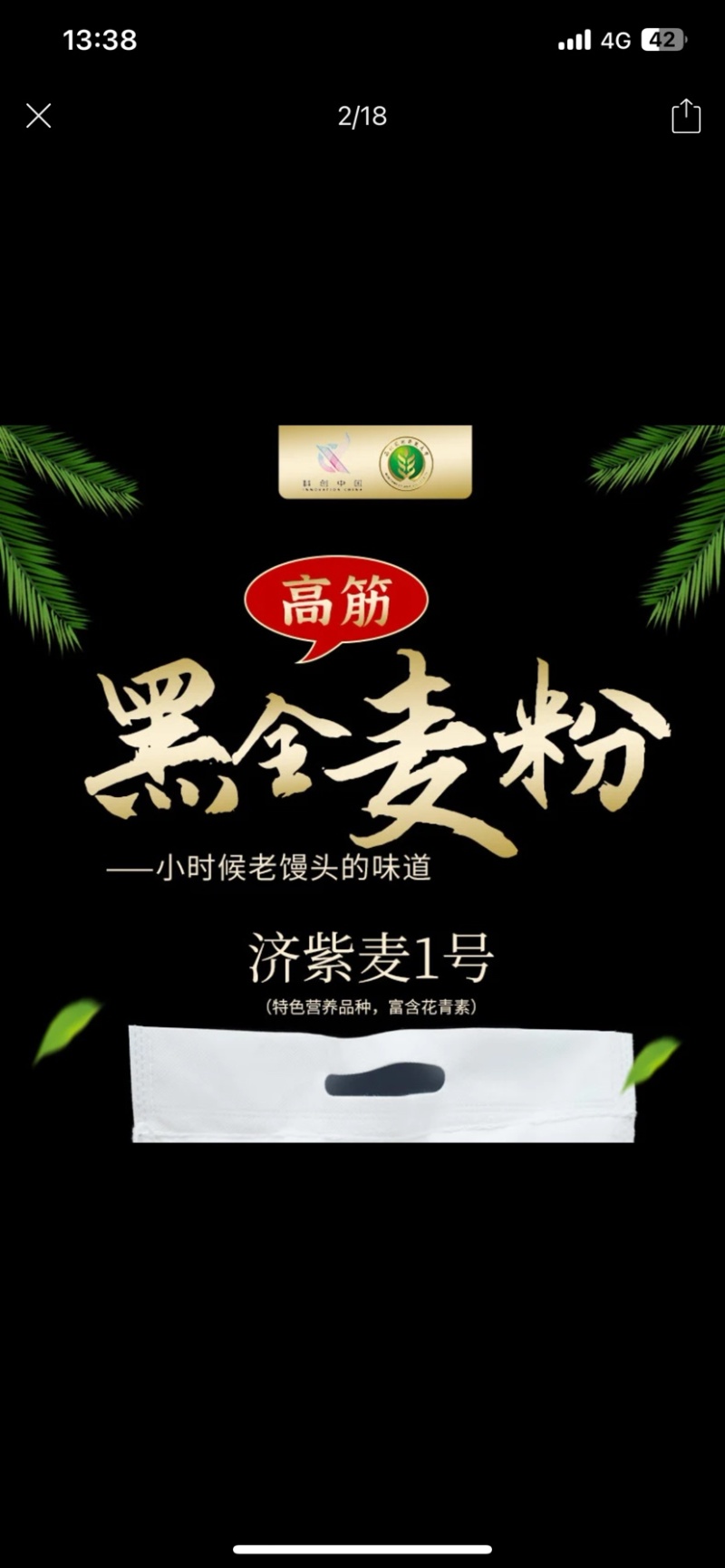 黑全麦粉