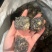 黑玛卡，规格齐全，一手货源，质量保证，量大价优