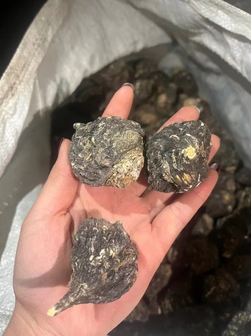 黑玛卡，规格齐全，一手货源，质量保证，量大价优
