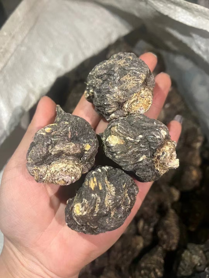 黑玛卡，规格齐全，一手货源，质量保证，量大价优