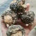 黑玛卡，规格齐全，一手货源，质量保证，量大价优
