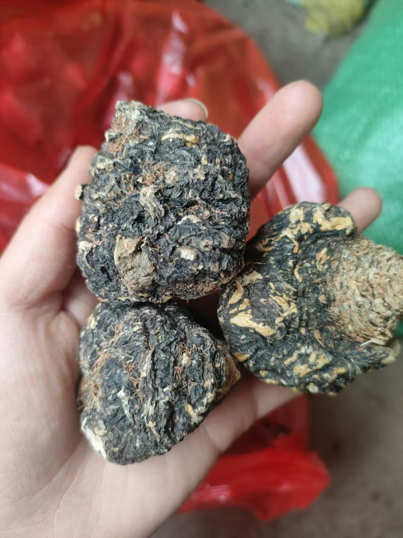 黑玛卡，规格齐全，一手货源，质量保证，量大价优