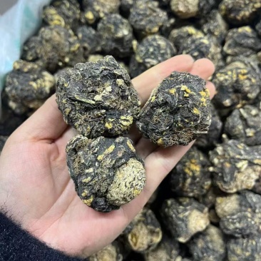 黑玛卡，规格齐全，一手货源，质量保证，量大价优