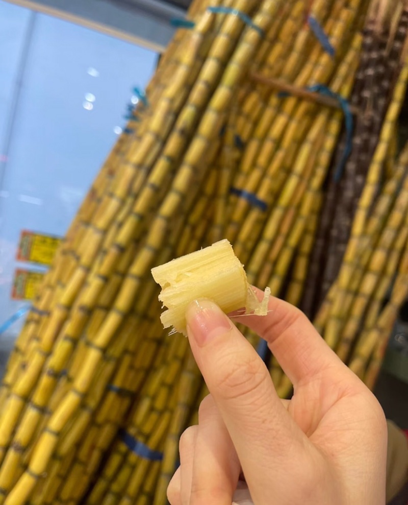 甘蔗云南黄皮甘蔗产地直发对接批发市场电商商超
