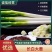安阳长白大葱，量大从优，可视频现场看货。欢迎咨询