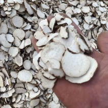 大量批发重楼片，一手货源，质量保证，量大价优