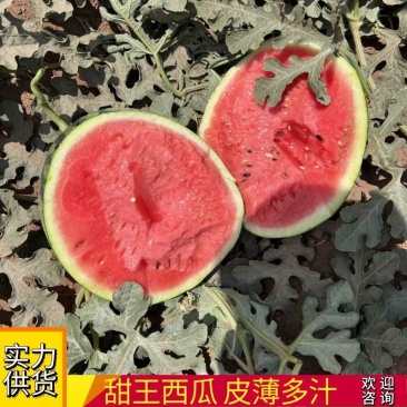 云南口岸甜王西瓜包熟包甜品质保证价格可谈