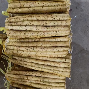 原产地种植小白嘴白山药铁棍山药现挖新鲜蔬菜小白嘴山药批发