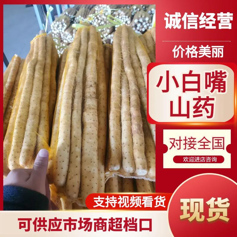 原产地种植小白嘴白山药铁棍山药现挖新鲜蔬菜小白嘴山药批发