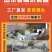 金酸味调味酱批发一袋50g火锅底料