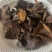 正宗野生纯干松树蘑菇源头产地，一手货源。
