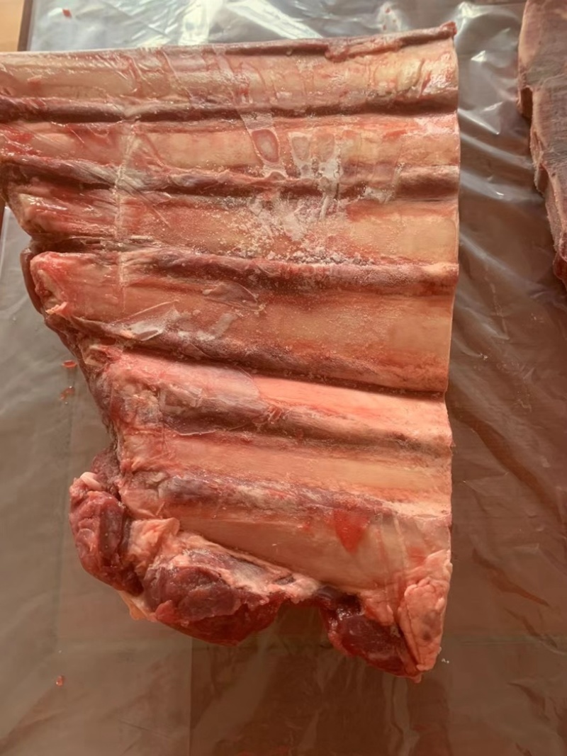 牛排牛排骨肉多牛排骨肋排适合各种牛骨火锅