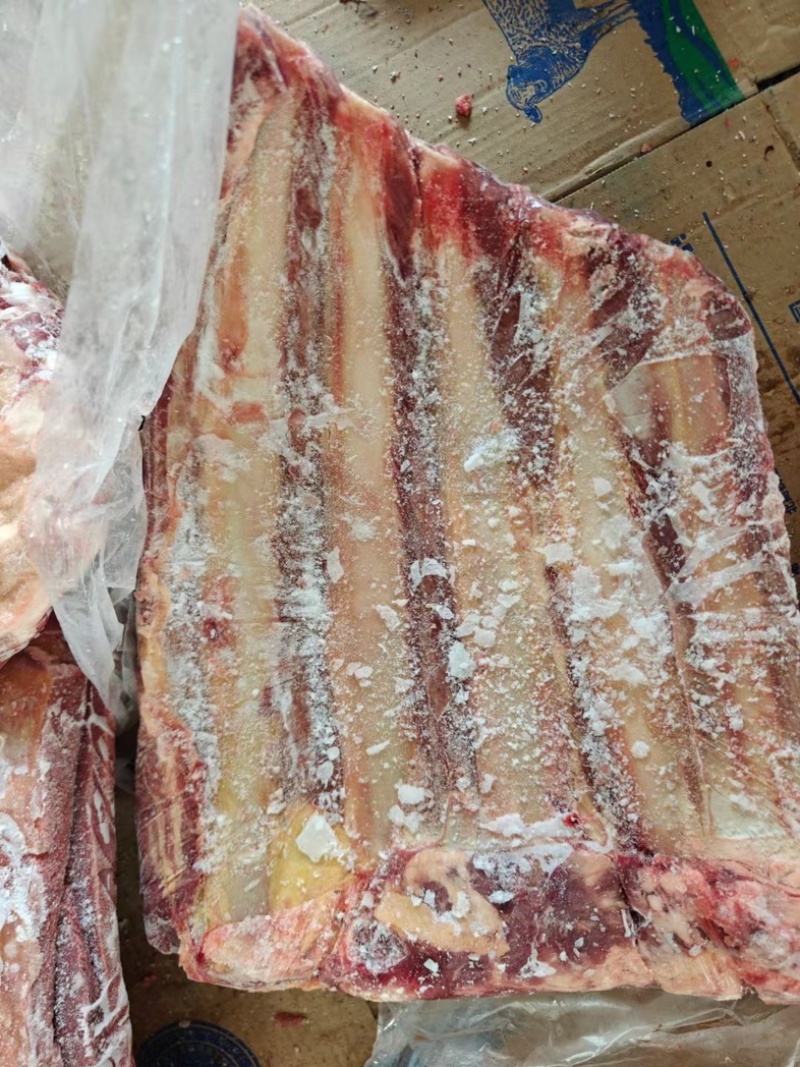 牛排牛排骨肉多牛排骨肋排适合各种牛骨火锅