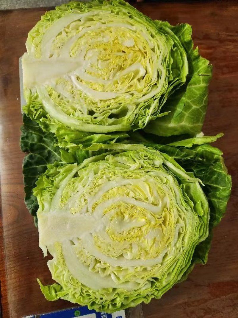实力品质绿甘蓝河北绿包菜萱甘蓝商超配货食堂工厂代发全国