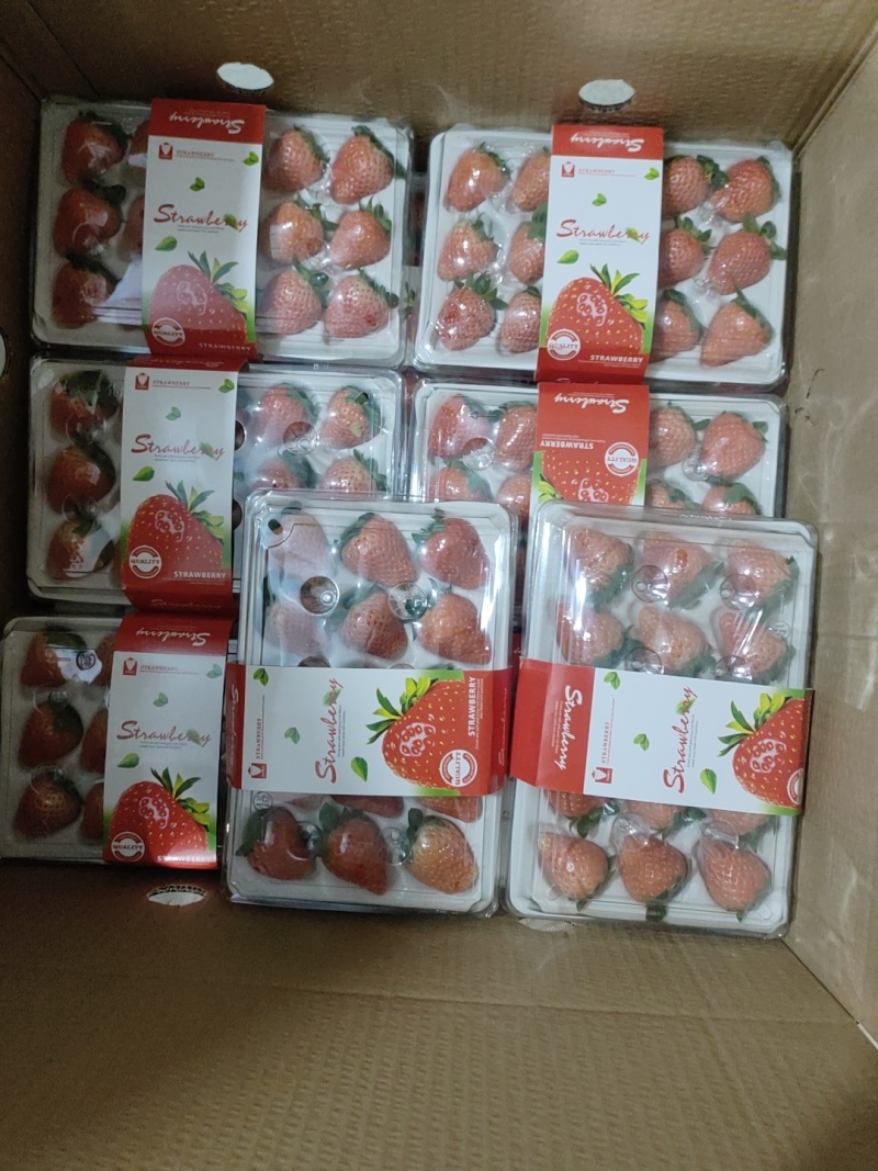 宁玉草莓