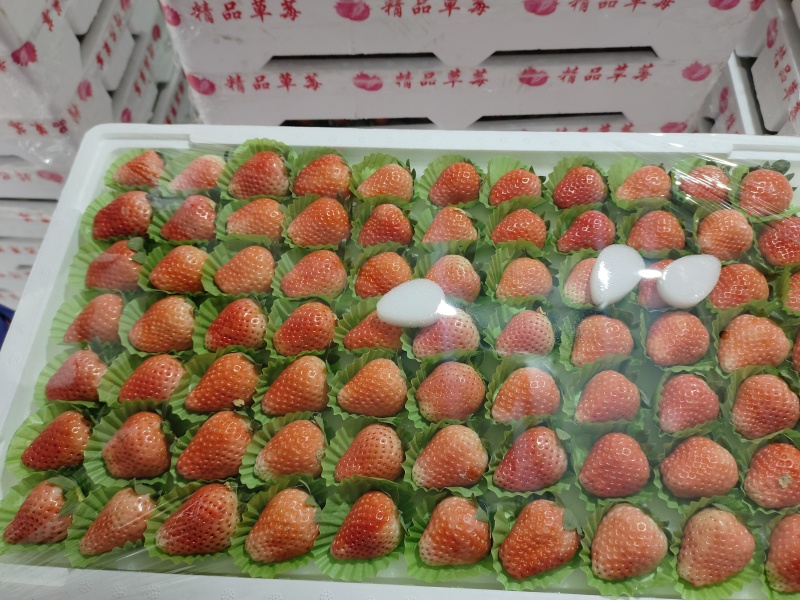 宁玉草莓