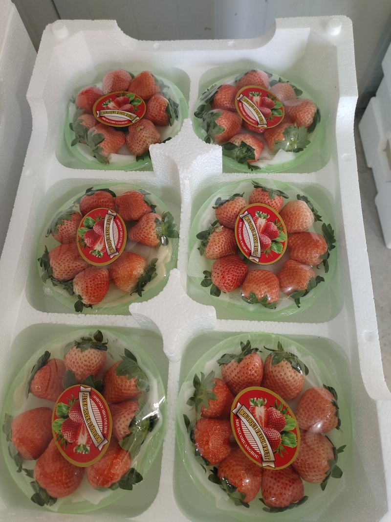 宁玉草莓