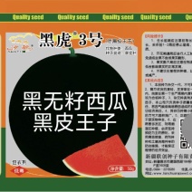 黑无籽西瓜种子黑虎三号黑皮王子无籽西瓜种子亩产5000公