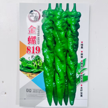 金蔬全螺819螺丝椒品种，带麻面早熟大果螺丝椒品种，种子