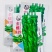 金蔬全螺819螺丝椒品种，带麻面早熟大果螺丝椒品种，种子