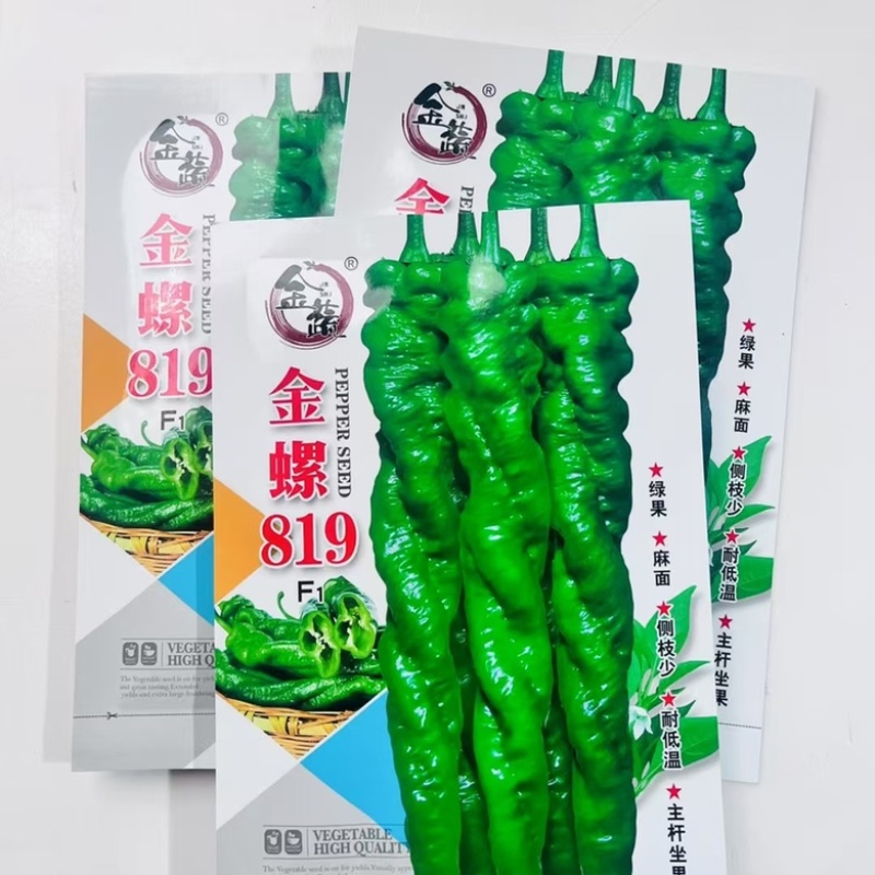 金蔬全螺819螺丝椒品种，带麻面早熟大果螺丝椒品种，种子