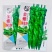 金蔬全螺819螺丝椒品种，带麻面早熟大果螺丝椒品种，种子
