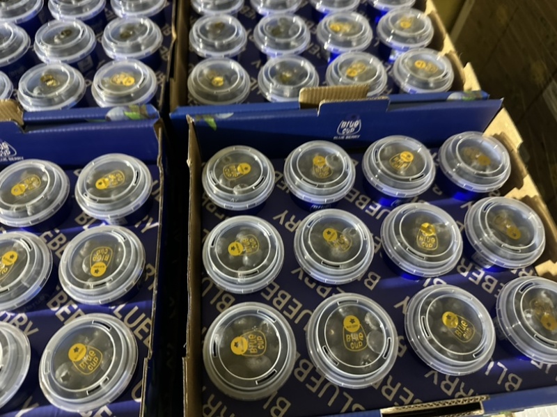 精品蓝莓，支持各种包装，团购，供应链，市场