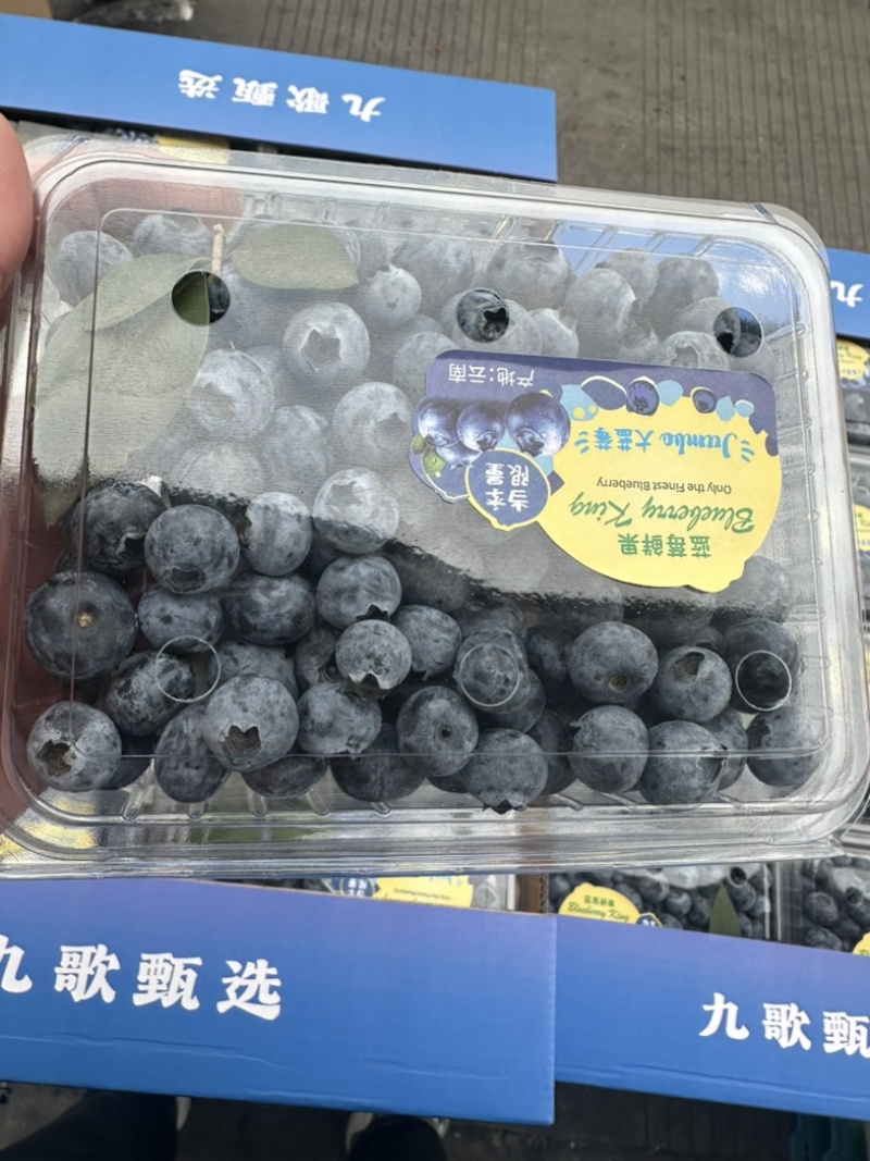 精品蓝莓，支持各种包装，团购，供应链，市场