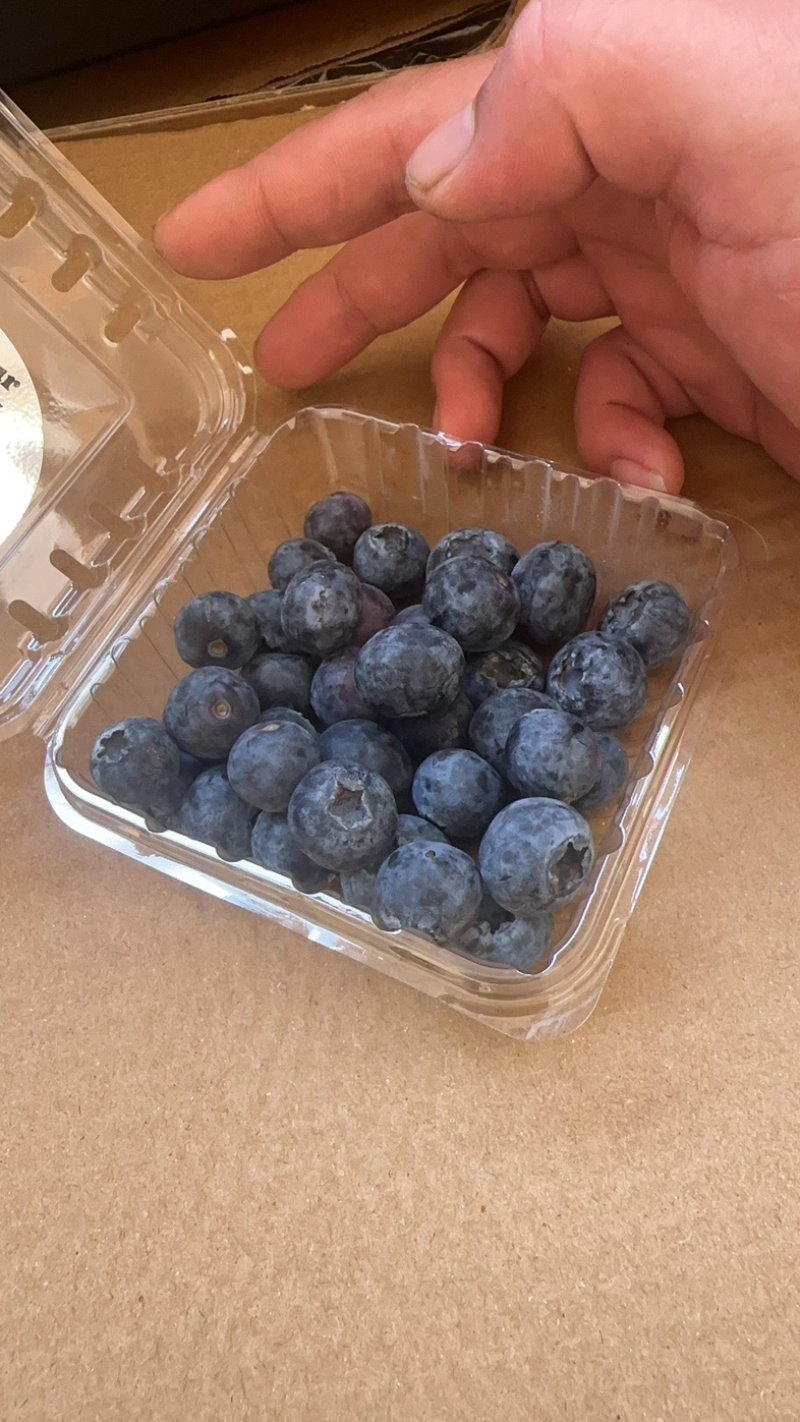 精品蓝莓，支持各种包装，团购，供应链，市场