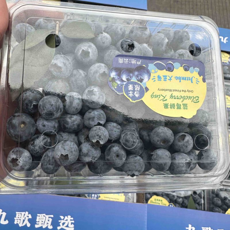 精品蓝莓，支持各种包装，团购，供应链，市场