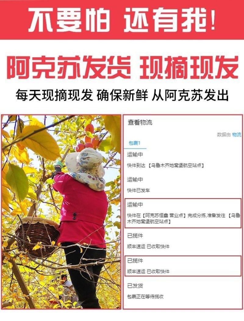 新疆阿克苏丑苹果冰糖心苹果批发