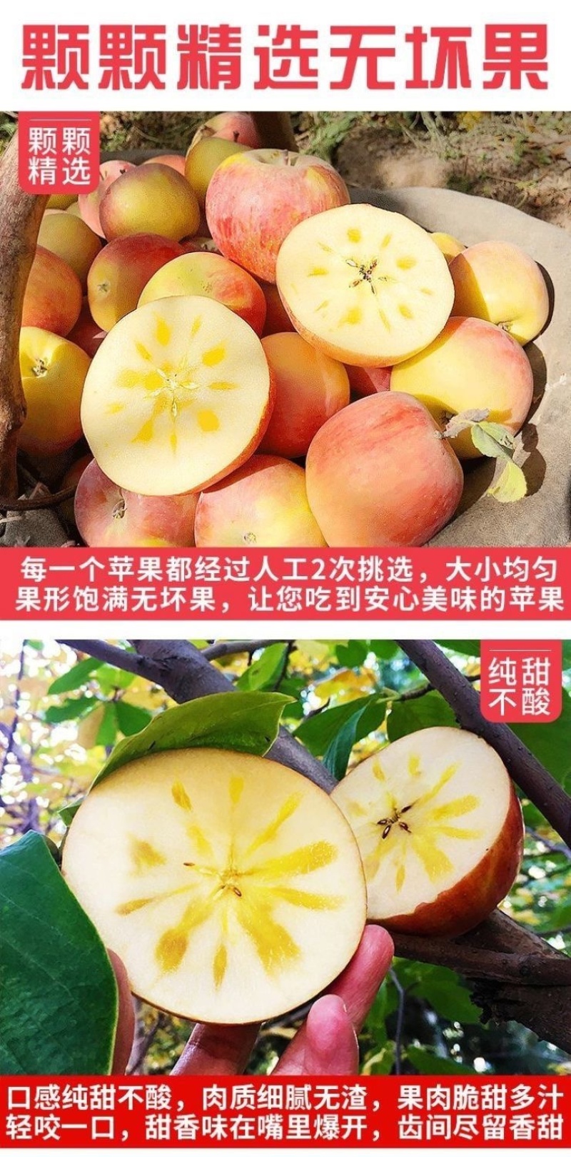 新疆阿克苏丑苹果冰糖心苹果批发