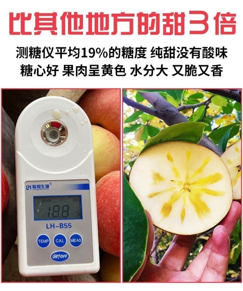 新疆阿克苏丑苹果冰糖心苹果批发