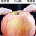 新疆阿克苏丑苹果冰糖心苹果批发