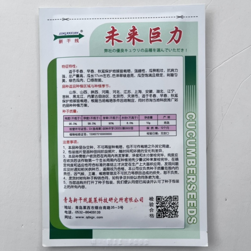 未来巨力水果黄瓜种子强磁品种，节节有瓜种子现货供应