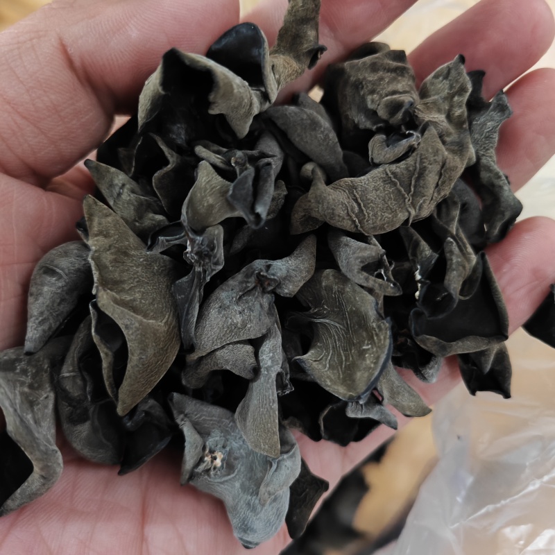 东北黑木耳原货干货高泡发率无任何增重