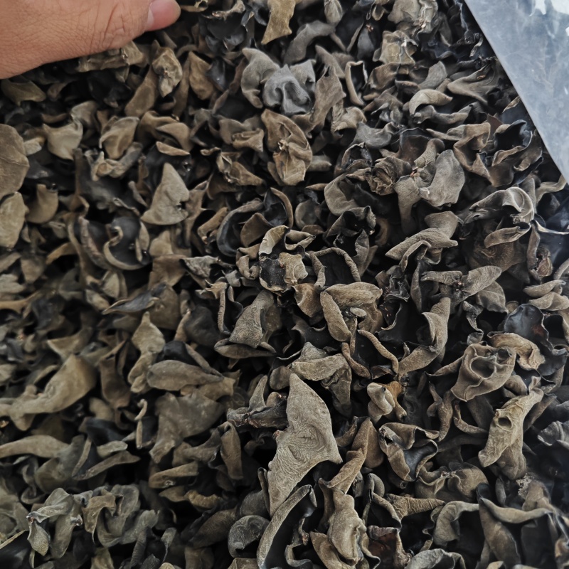 东北黑木耳原货干货高泡发率无任何增重