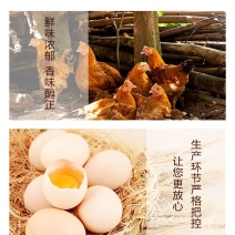 鸡精