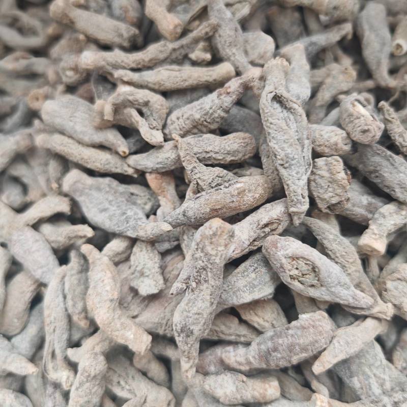 白茄参300头