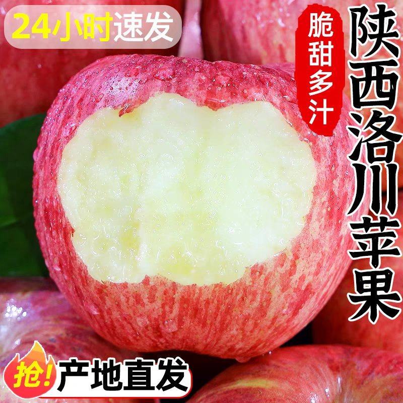 陕西洛川苹果电商货一件代发全网**
