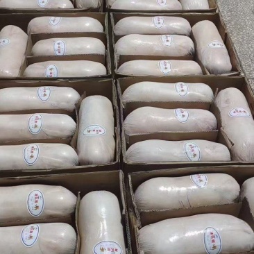 乳猪