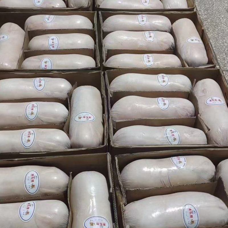 乳猪