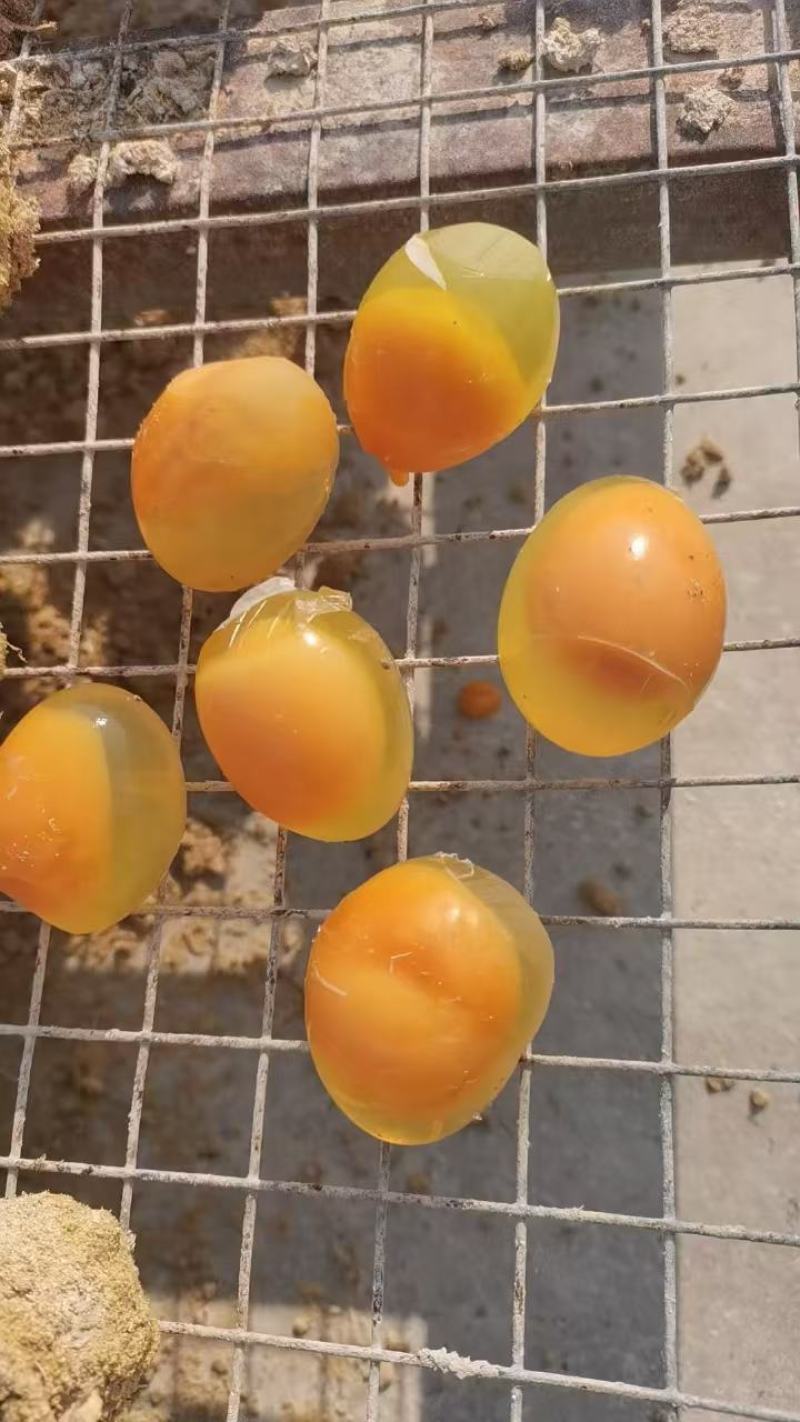 糖心松花蛋，无铅鸡皮蛋，河南黄金变蛋