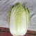 大白菜