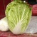 大白菜