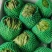 球生菜河北精品生菜球货源稳定商超电商配货代加工代发