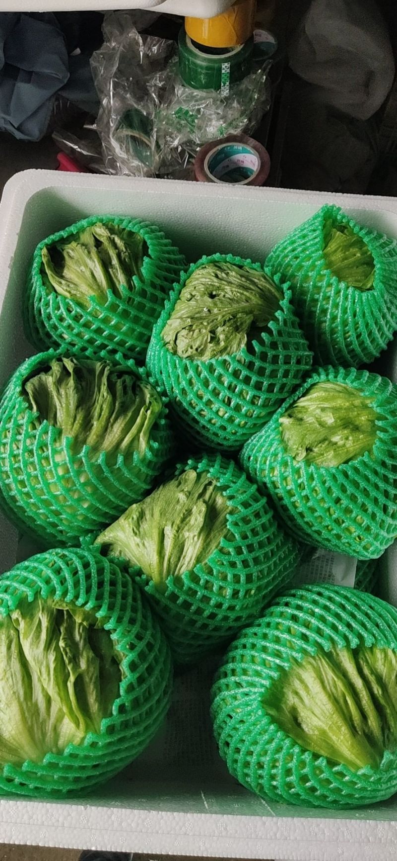 球生菜河北精品生菜球货源稳定商超电商配货代加工代发