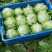 球生菜河北精品生菜球货源稳定商超电商配货代加工代发